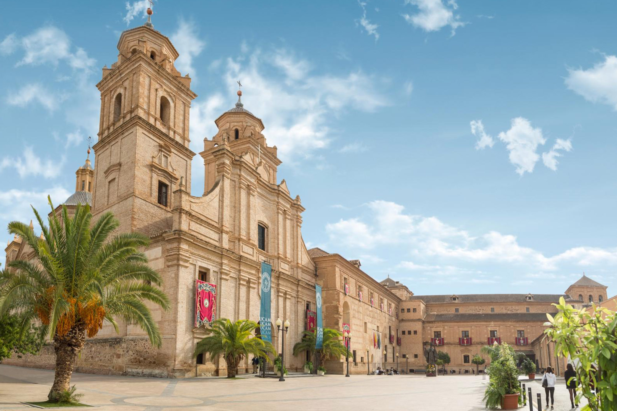 Experiencia Profesional y Formación